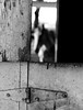 5starfoto > This & That photo