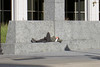 5starfoto > This & That photo
