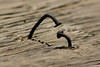 5starfoto > This & That photo